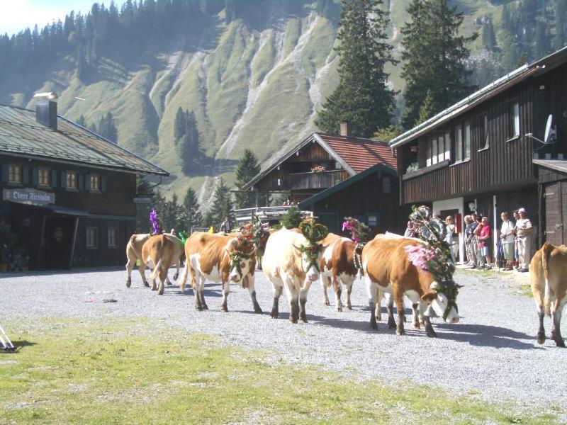 Berggasthof Obere Firstalm Шлирзее Екстериор снимка